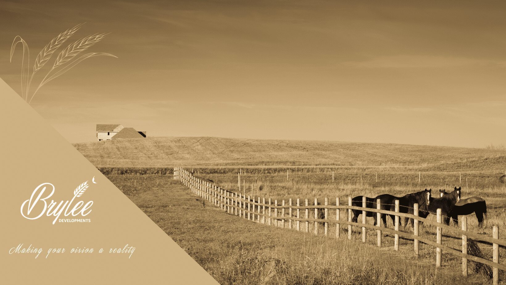 Country Living Versus City Living