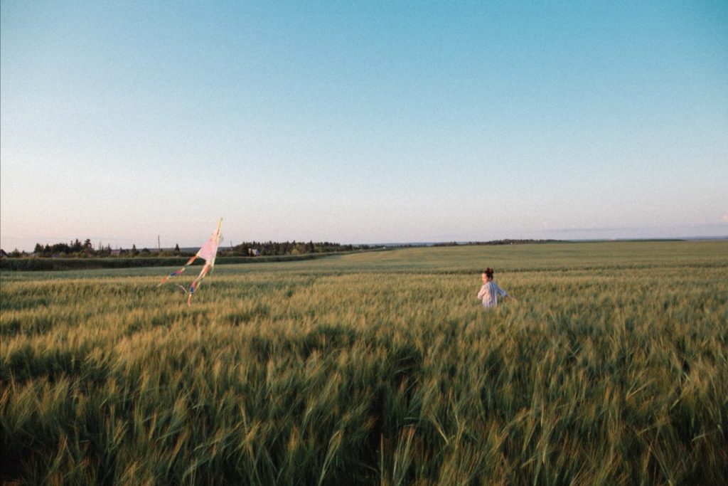 Kite