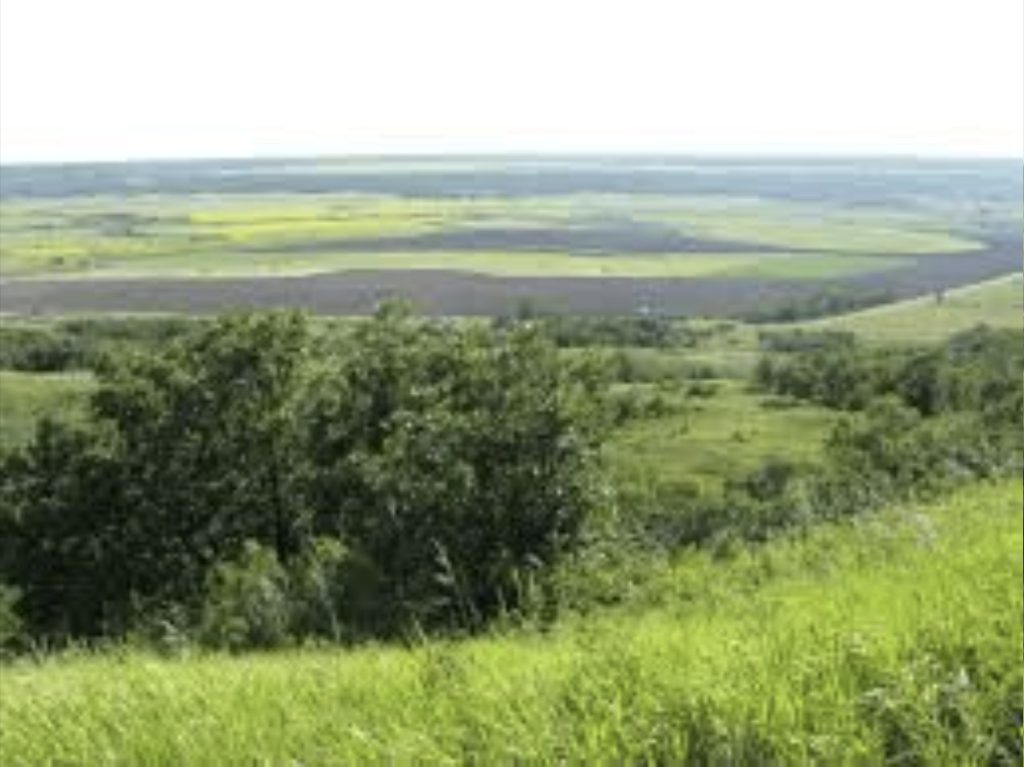 Qu'Appelle Valley