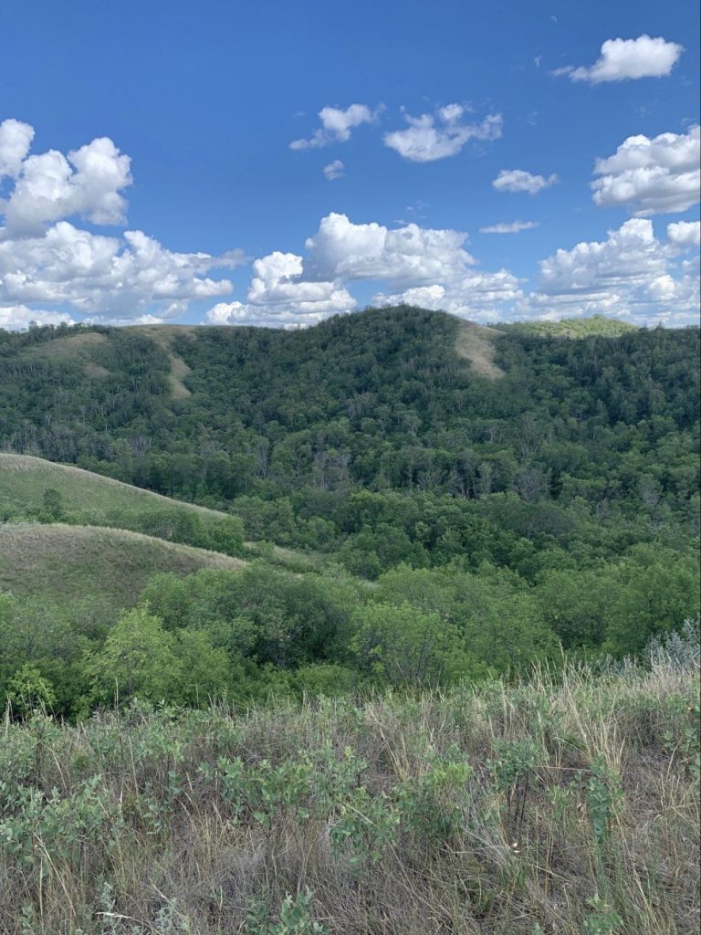 Qu'Appelle Valley