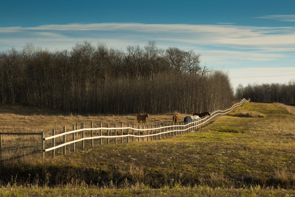 Wooden fence and tree line at the edge of Brylee Estates