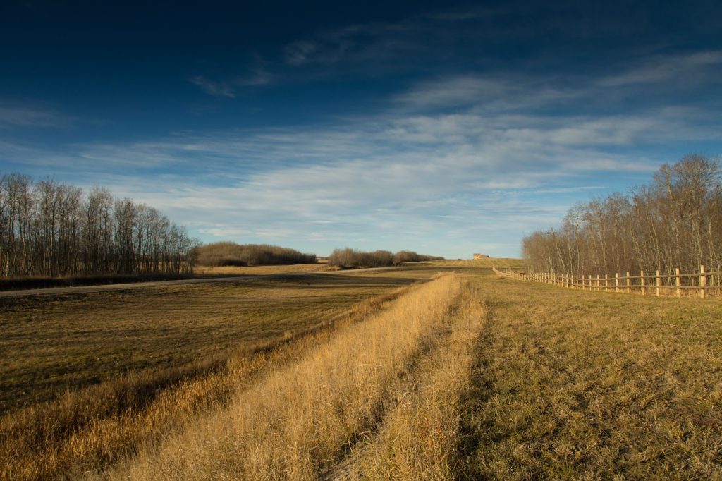 Fence line along the edge of Brylee Estates