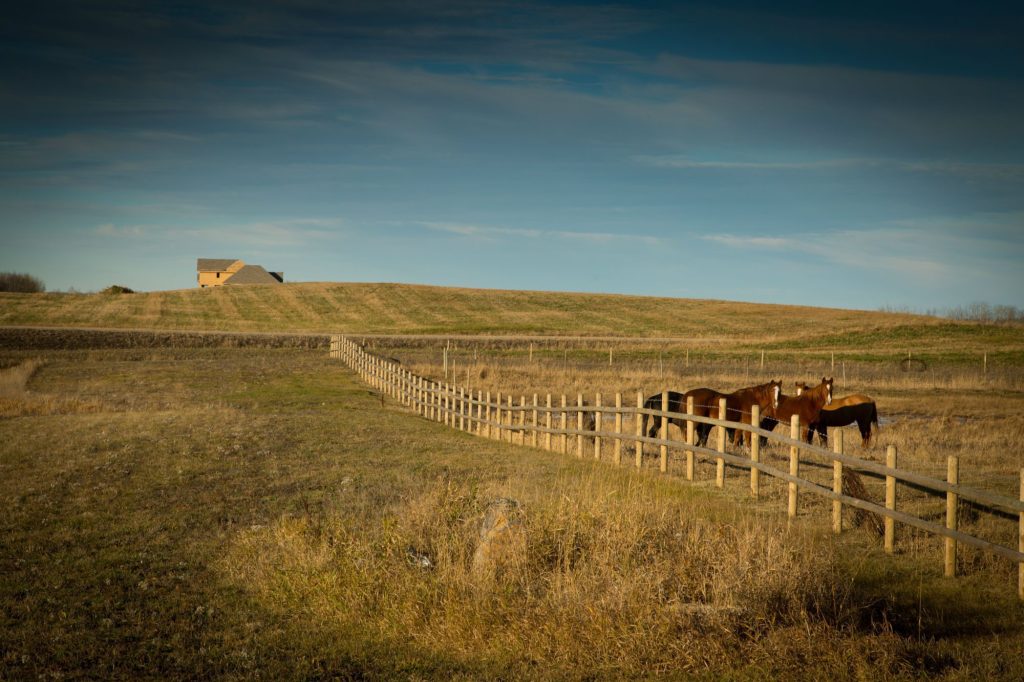 Horses grazing along the wooden fence beside Brylee Estates